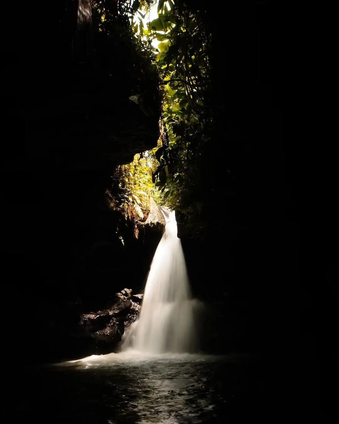 image-1 (10)